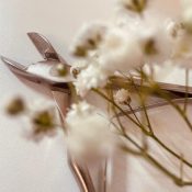 IMG_4266